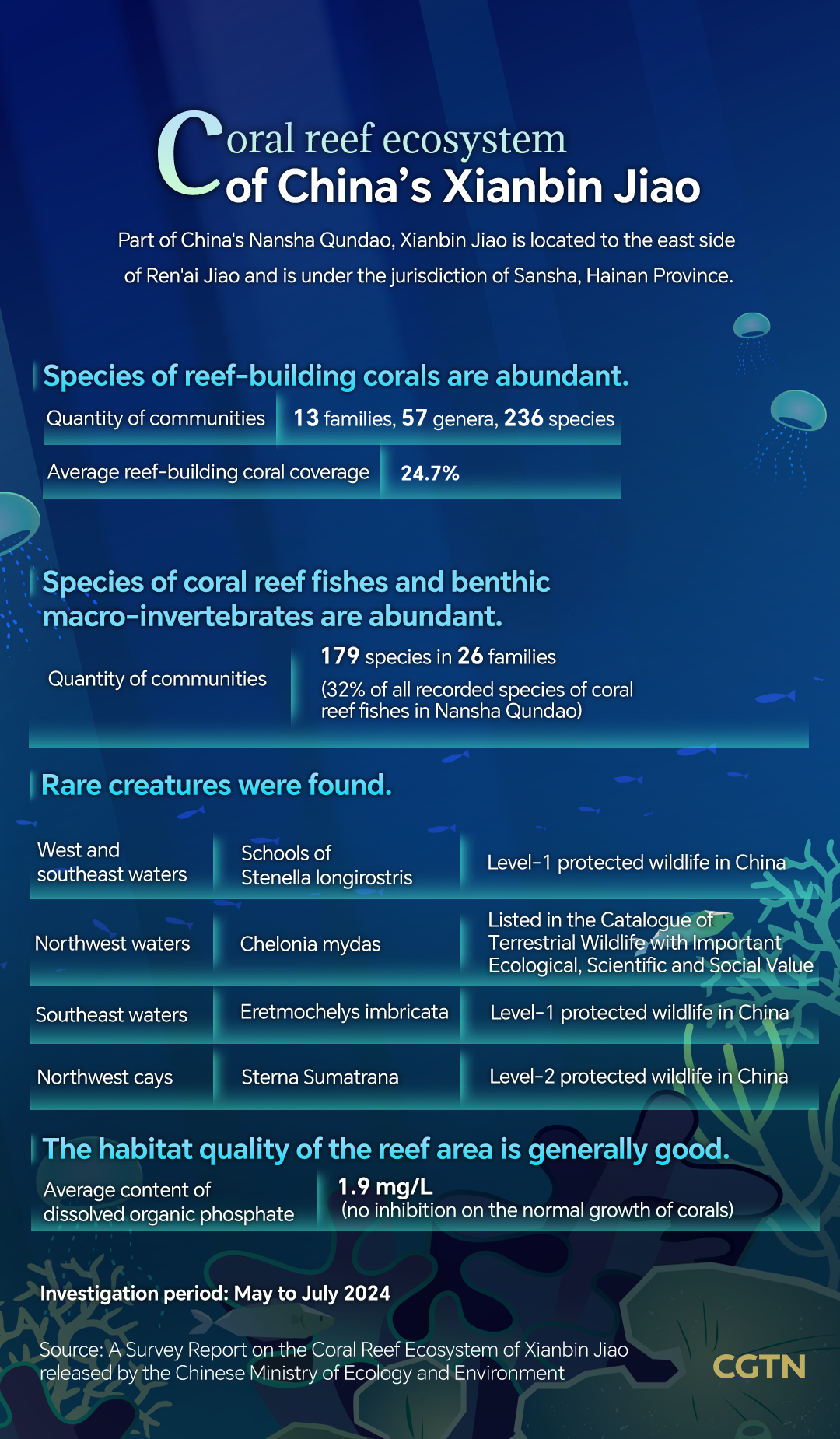 Graphics: Healthy coral reef ecosystem at Xianbin Jiao