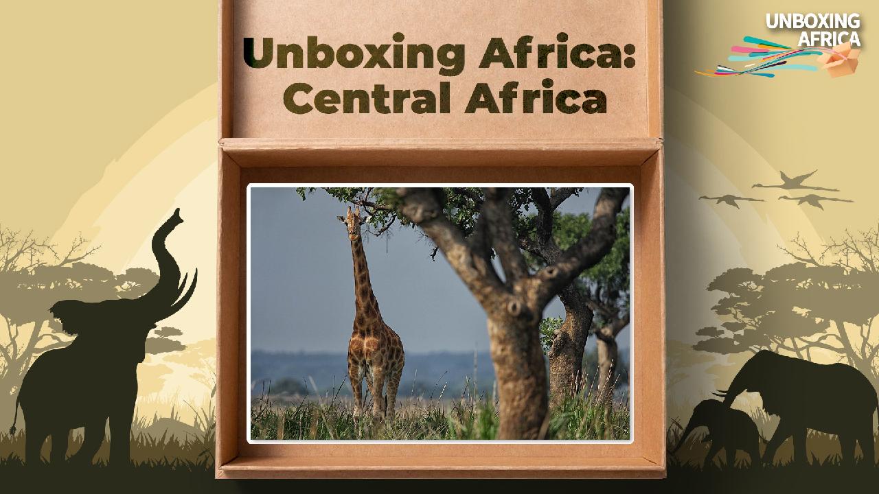 Central Africa: A Realm of Flourishing Wilderness and Abundant Treasures