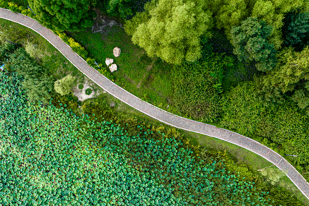 A photo taken in August 2024 shows an aerial view of Jingyuetan National Forest Park in Changchun, northeast China's Jilin Province. /CFP