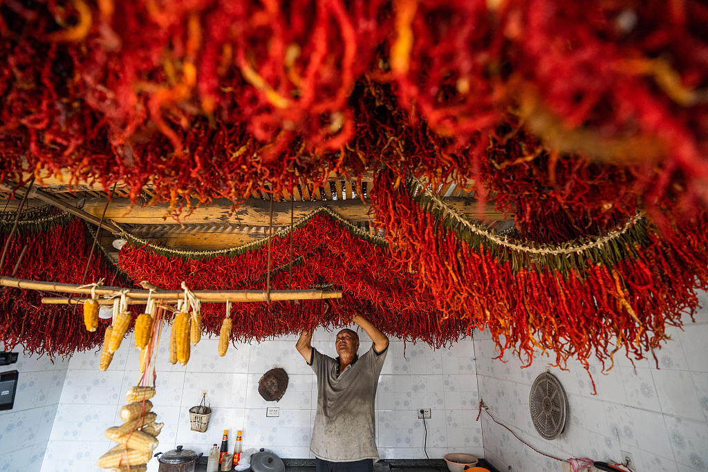 A farmer arranges lines of hanging chili peppers in Dafang County of Bijie, southwest China's Guizhou Province on August 30, 2024. /CFP