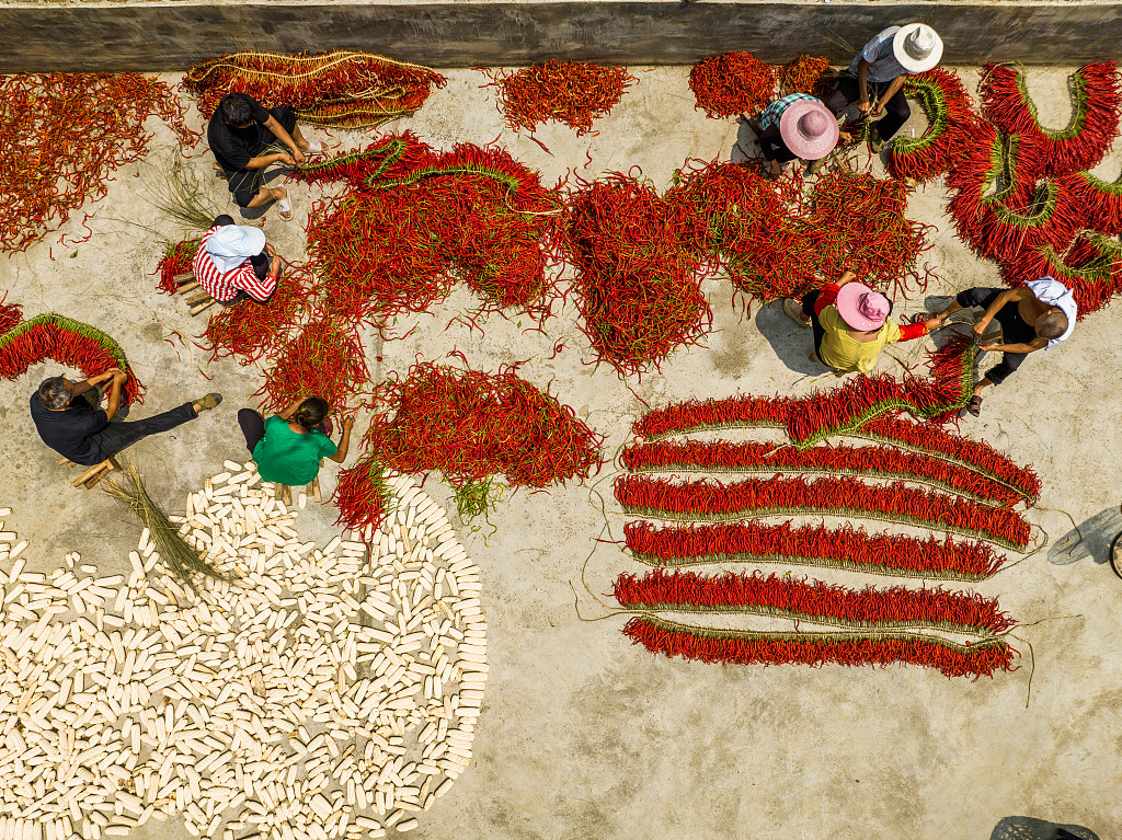 An aerial view shows farmers stringing harvested chili peppers in Dafang County of Bijie, southwest China's Guizhou Province on August 30, 2024. /CFP