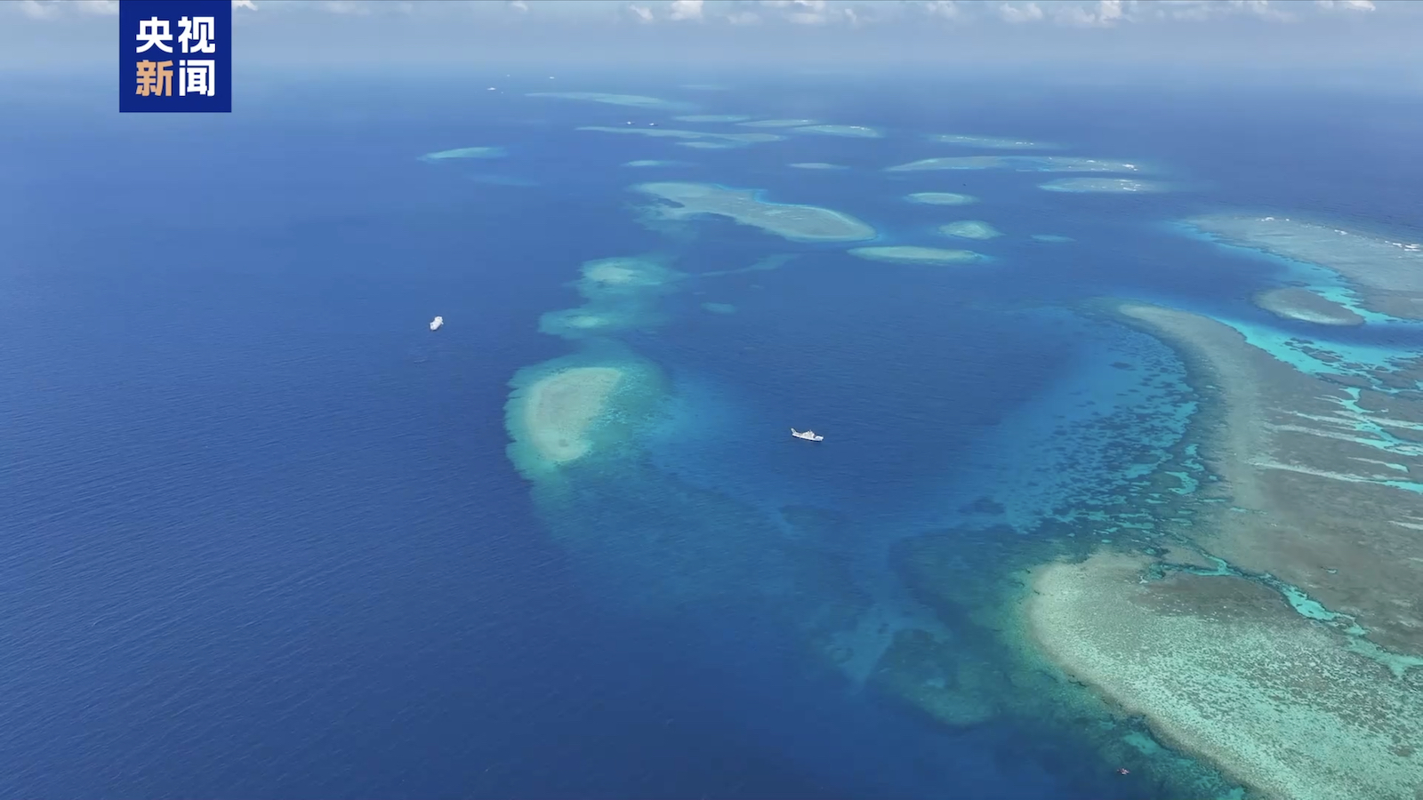 First report on coral reef ecosystem of China's Xianbin Jiao released