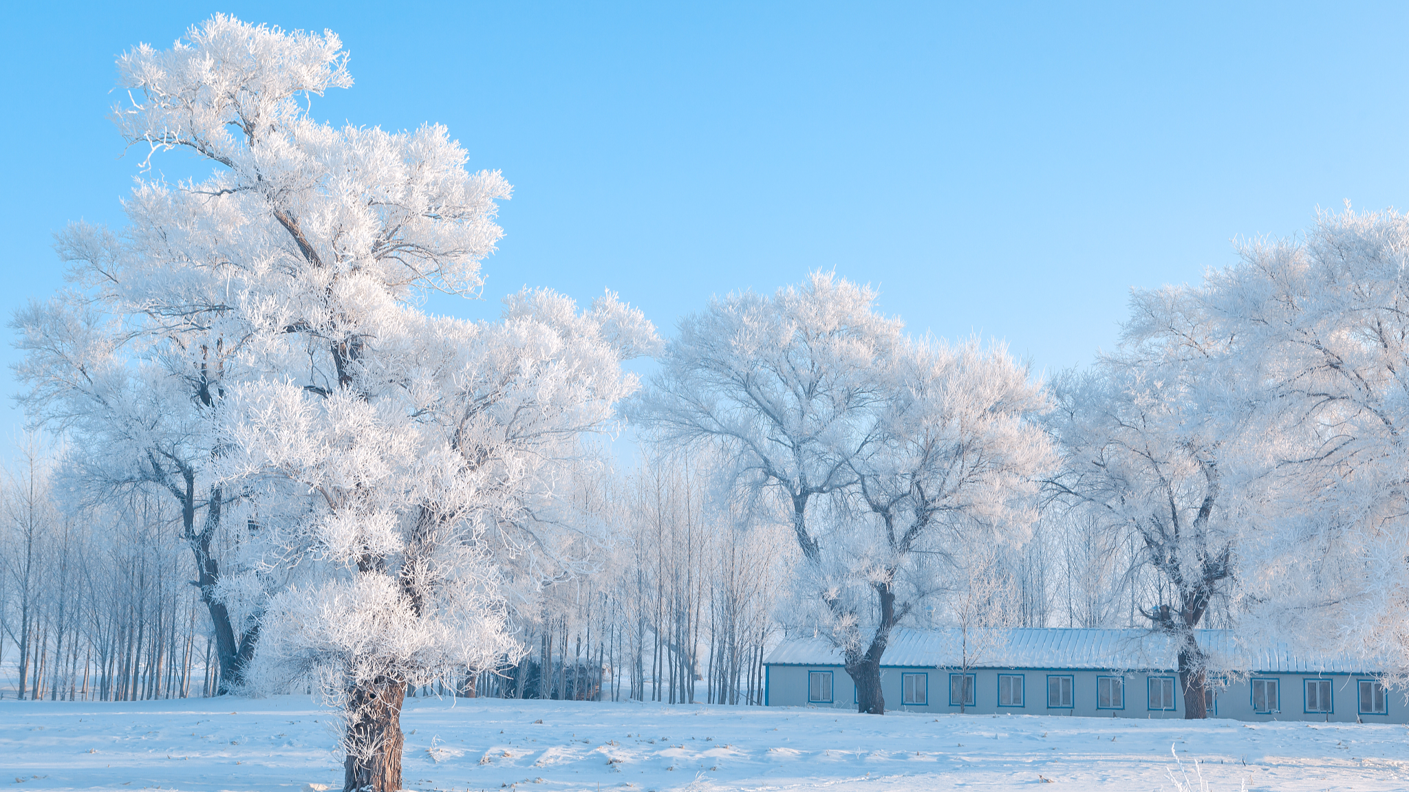 @China: Explore the beauty of scenic wonders in Jilin