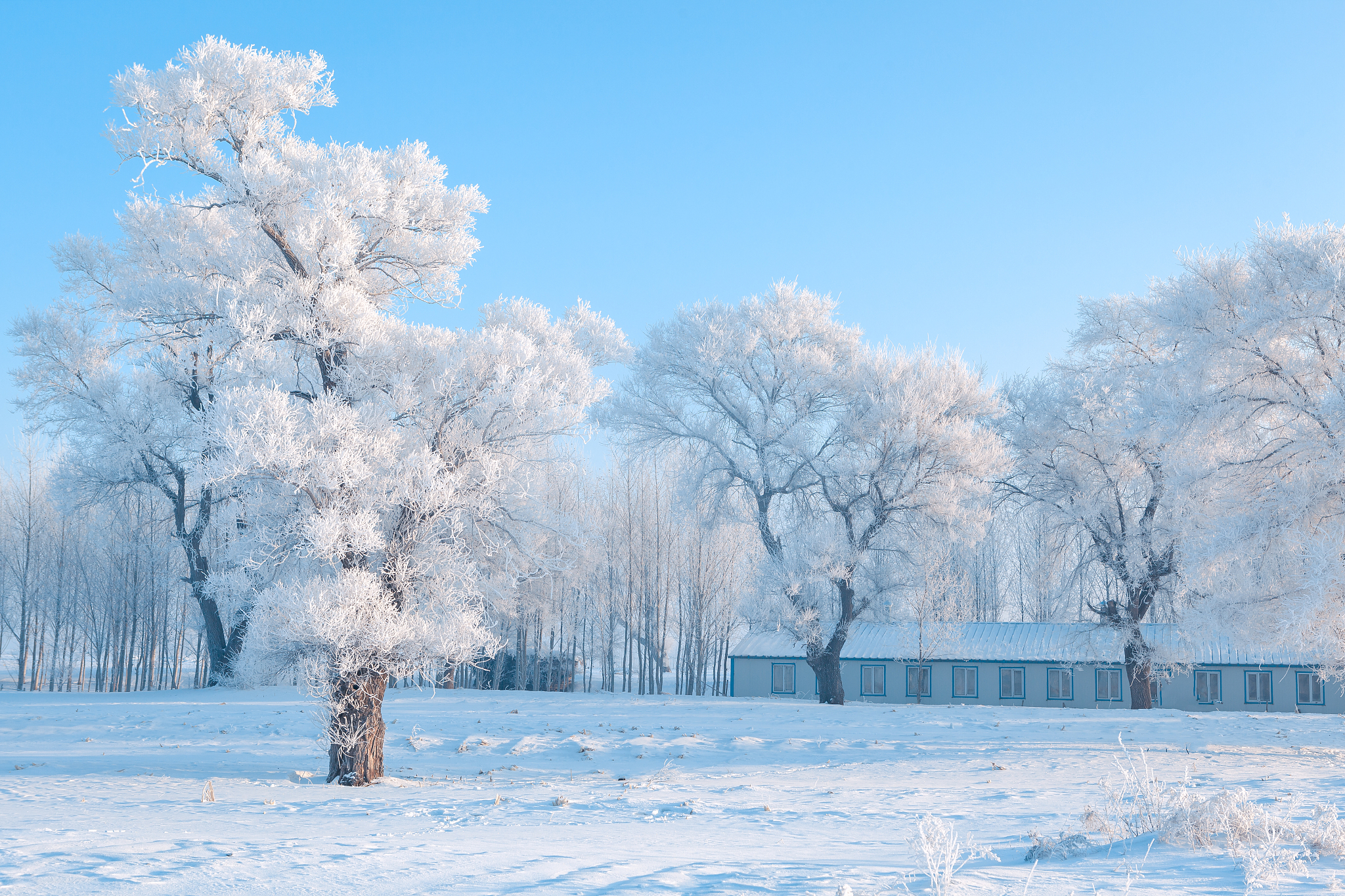 @China: Explore the beauty of scenic wonders in Jilin