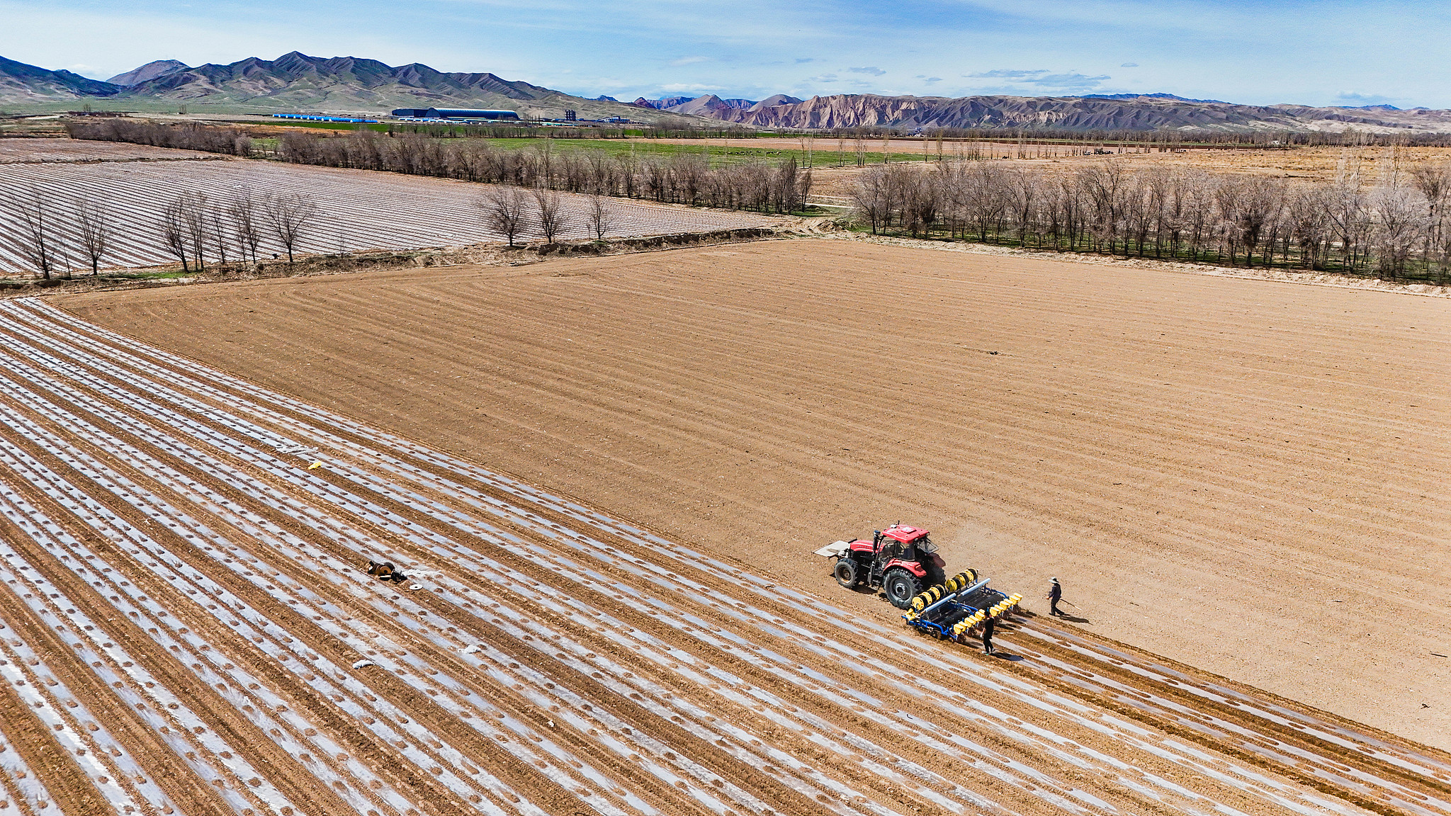 A cotton seed drill operating in a field in Changji Hui Autonomous Prefecture, northwest China's Xinjiang Uygur Autonomous Region, April 11, 2024. /CFP
