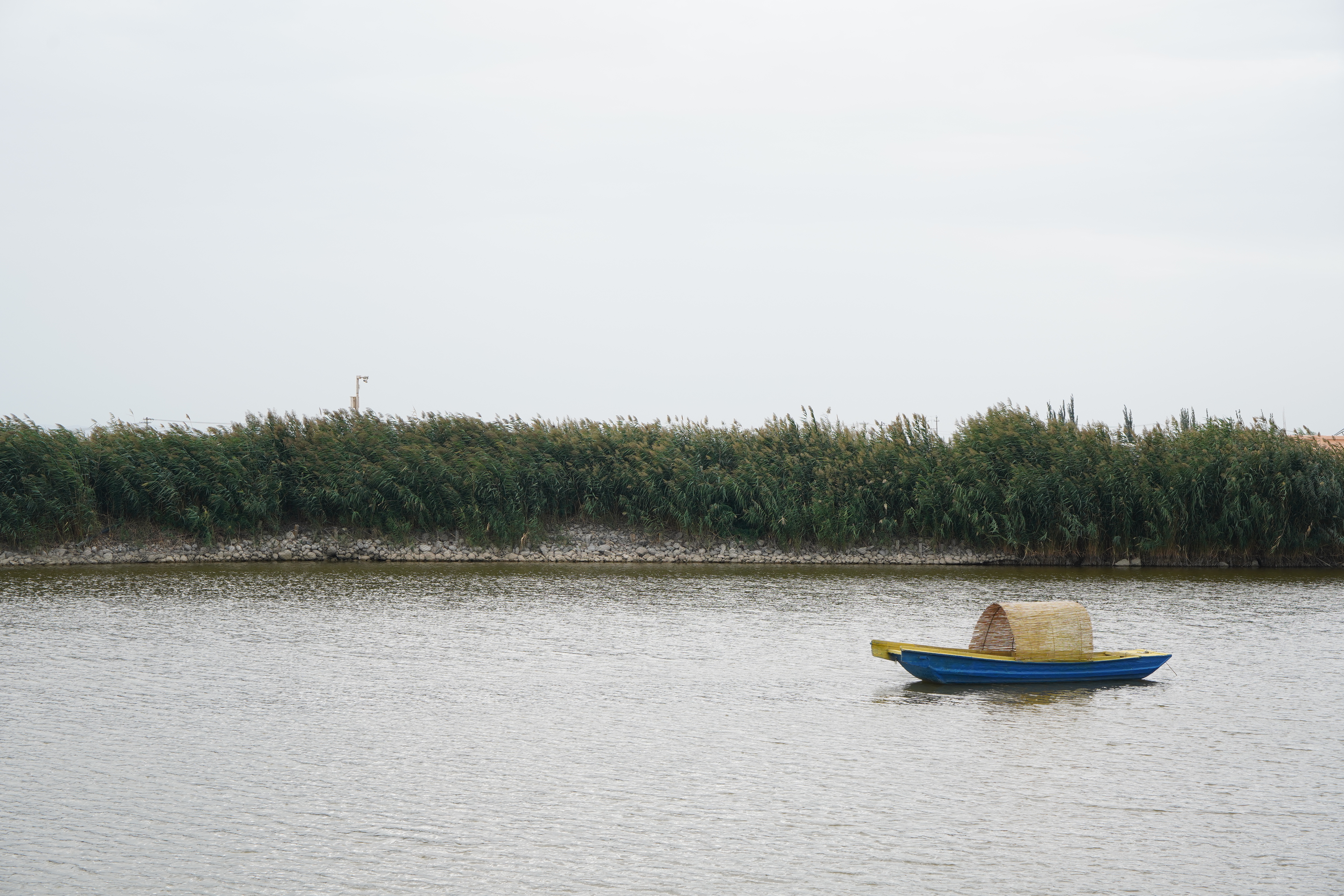 Reeds at Bosten Lake are pictured this autumn in Xinjiang. /CGTN