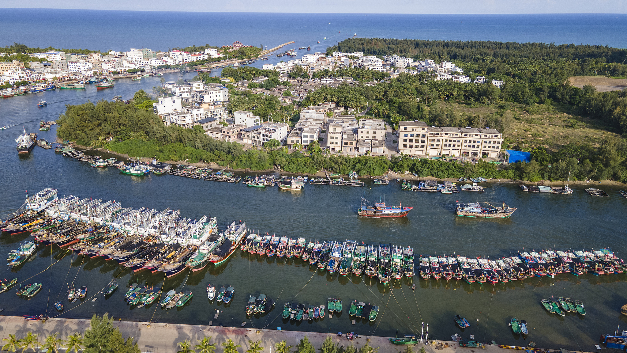 Sejumlah besar kapal penangkap ikan kembali ke pelabuhan untuk berlindung dari Topan Yagi di Pelabuhan Tanmen, Kota Qionghai, Provinsi Hainan, Tiongkok selatan, pada 3 September 2024. /CFP