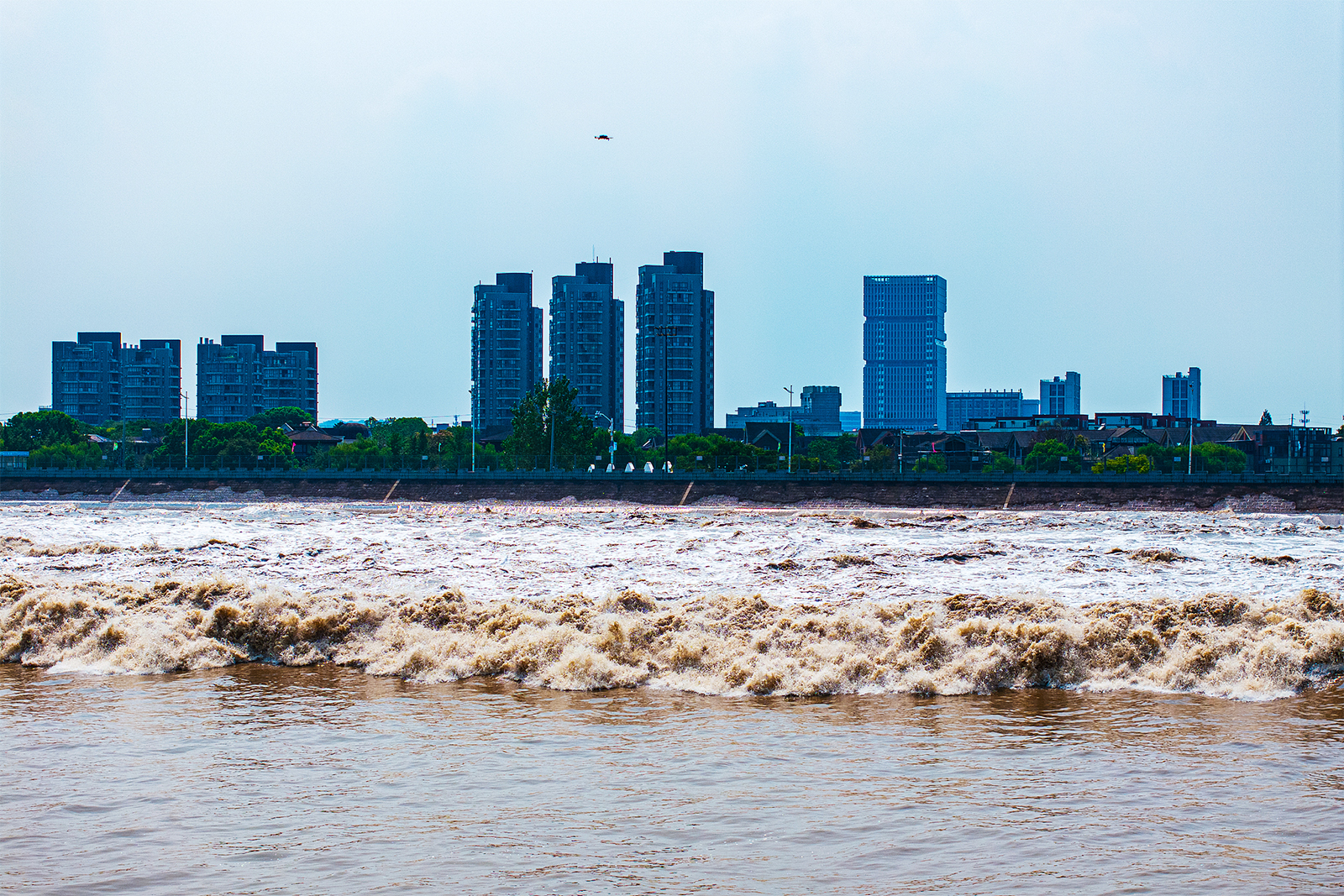 The spectacular Qiantang River tidal bore is seen from a viewpoint in Haining, Zhejiang Province on September 4, 2024. /CFP