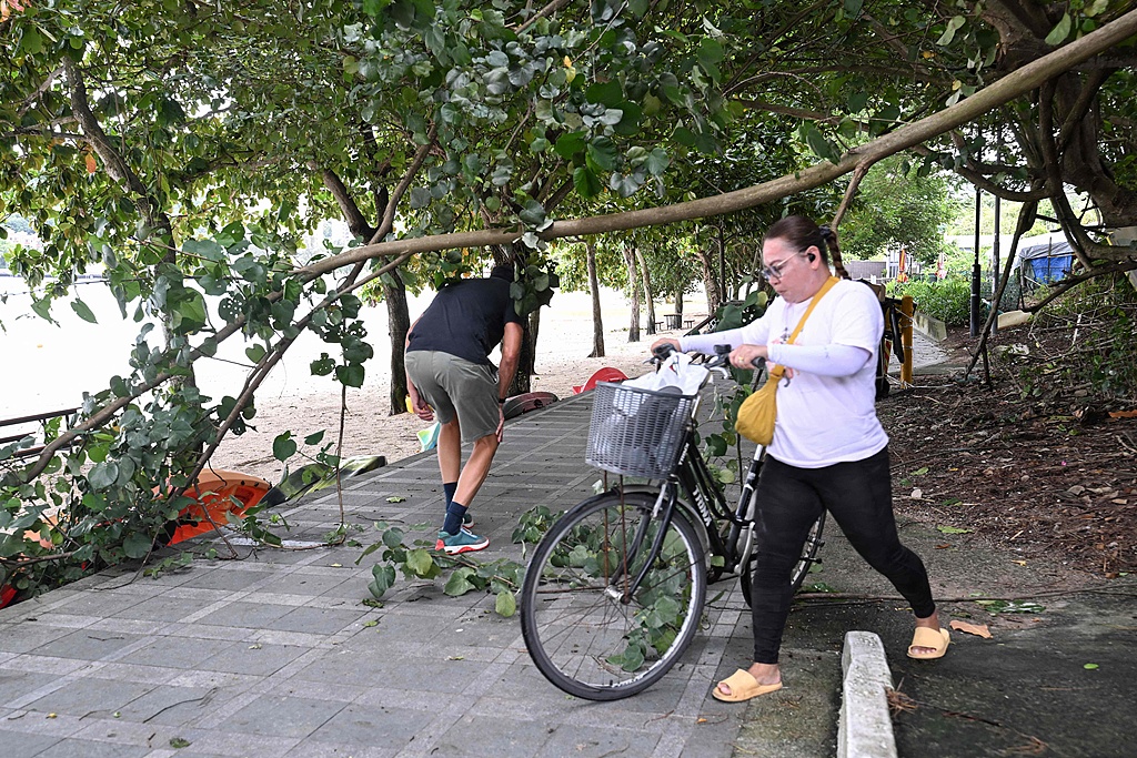 People walk around a fallen tree near a beach on Lantau Island in Hong Kong after being hit by strong winds from Super Typhoon Yagi on September 6, 2024. /CFP 