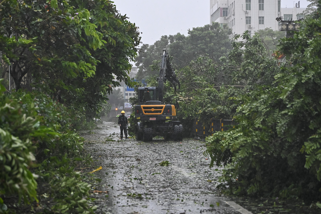 Workers clear fallen trees in Zhanjiang City, Guangdong Province, south China, September 6, 2024. /CFP