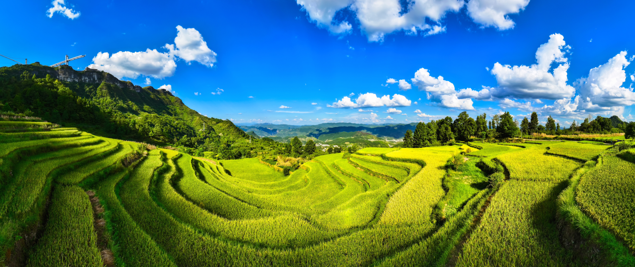 Rice fields in Shiqian County, Guizhou Province are set for a bumper harvest, September 2, 2024. [Photo provided to CGTN]