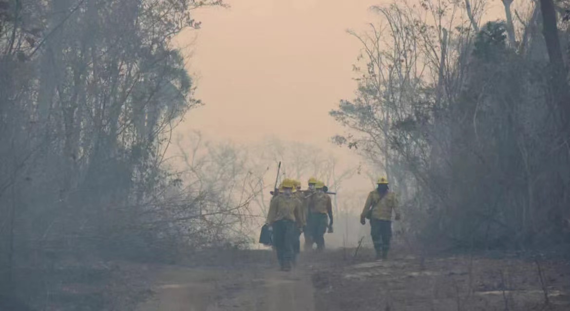 Bolivia declared a national emergency due to raging forest fires, the country's Defense Ministry announced on Saturday. /CMG