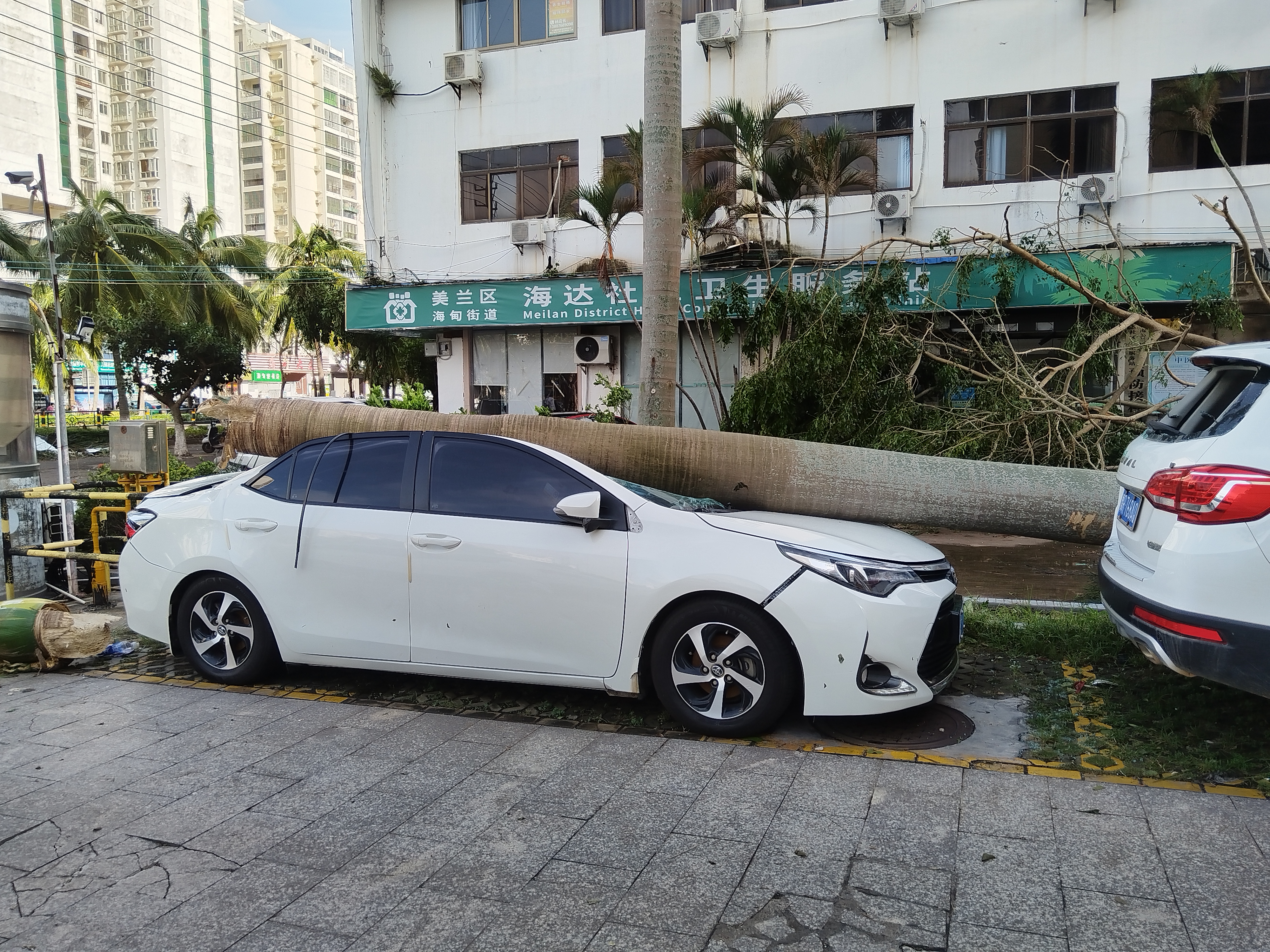 A car squashed by a fallen tree, Haikou City, Hainan Province, southern China, September 7, 2024. /Local resident surnamed Xie