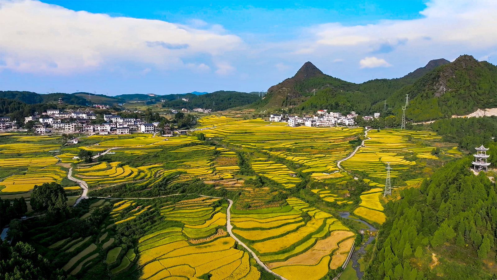 An expansive vista of golden terraced fields is seen at Guojiawan Village in Yuping Dong Autonomous County, Guizhou Province. /Provided to CGTN