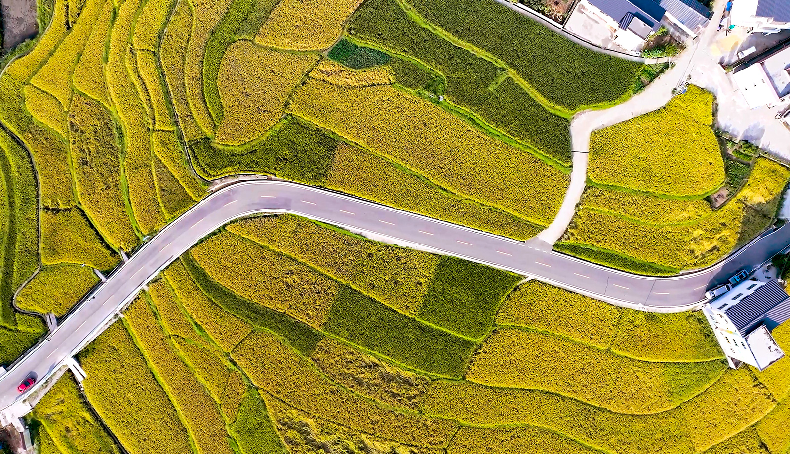 An aerial view of the rice fields at Guojiawan Village in Yuping Dong Autonomous County, Guizhou Province /Provided to CGTN