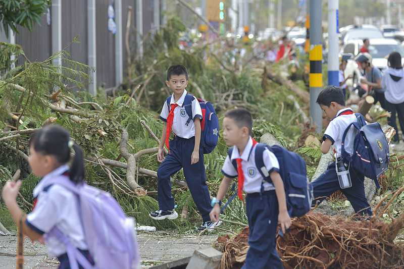 Elementary school students walk through fallen trees and return to class, Haikou City, south China's Hainan Province, September 9, 2024. /CFP 