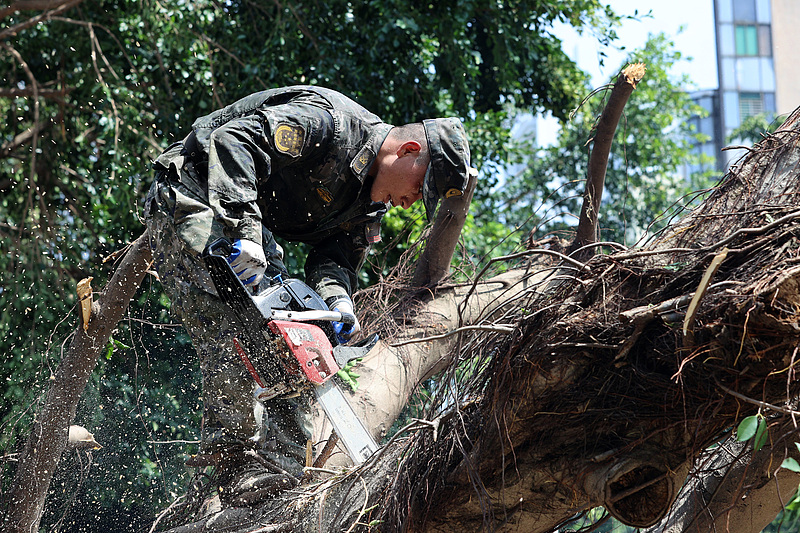 After typhoon Yagi, a People's Liberation Army soldier cuts branches off an uprooted tree, Haikou City, south China's Hainan Province, September 8, 2024. /CFP