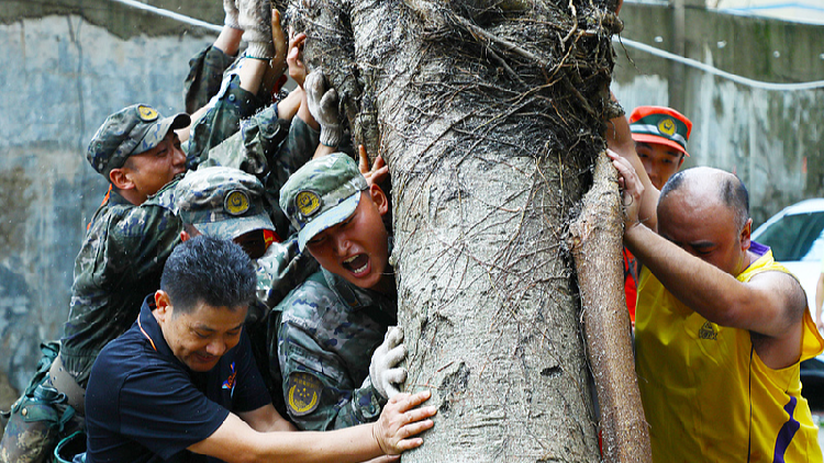 Hainan, China's tropical island, rebounds from devastating super typhoon impact