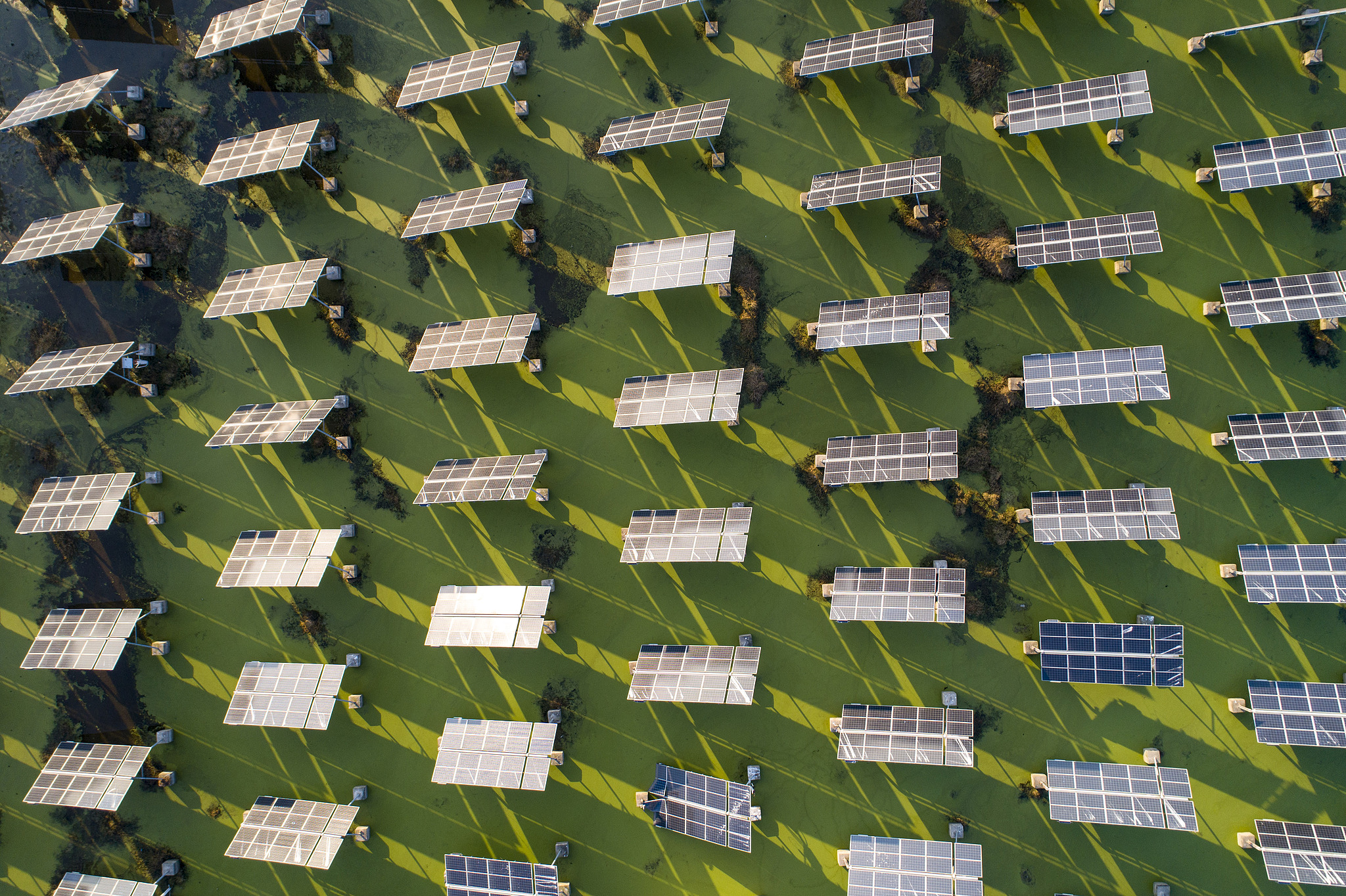 Photovoltaic solar panels with an automatic tracking system on Baima Lake, Jiangsu Province. /CFP 