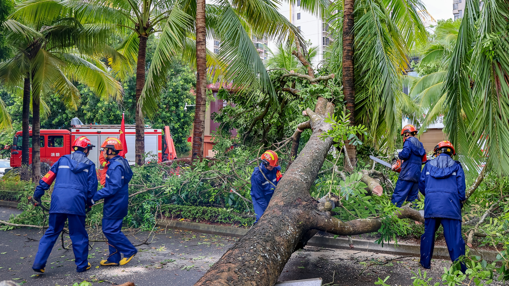 Live: Press conference on reconstruction work after Super Typhoon Yagi