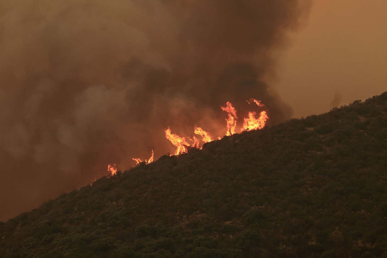 Smoke rises above flames during severe temperatures as the Line Fire burns near Mentone, California, September 8, 2024. /CFP