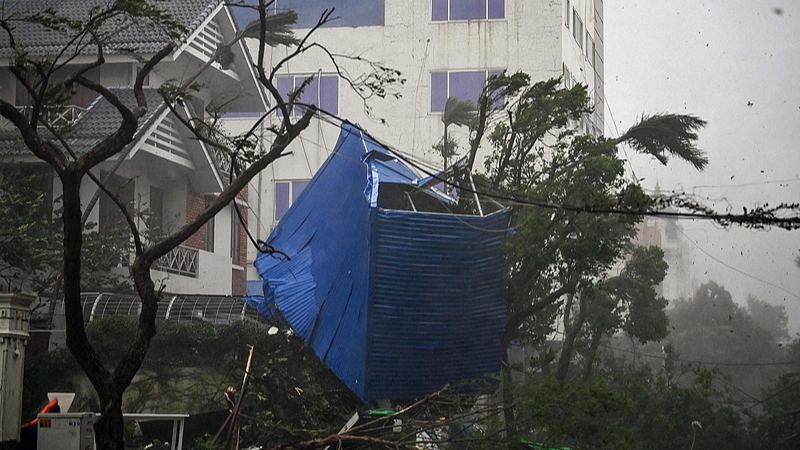 Debris from a destroyed fence is tangled in trees after Typhoon Yagi struck Hai Phong, Vietnam, September 7, 2024. /CFP