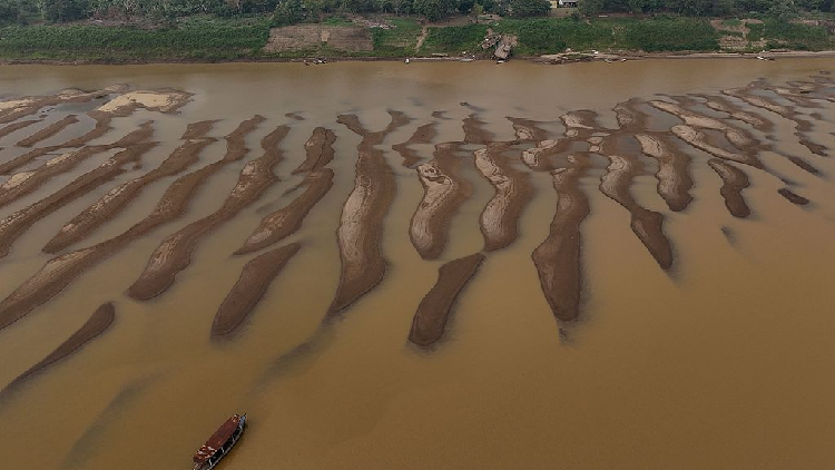 As Brazil faces its most severe drought, the Amazon's water levels hit unprecedented lows