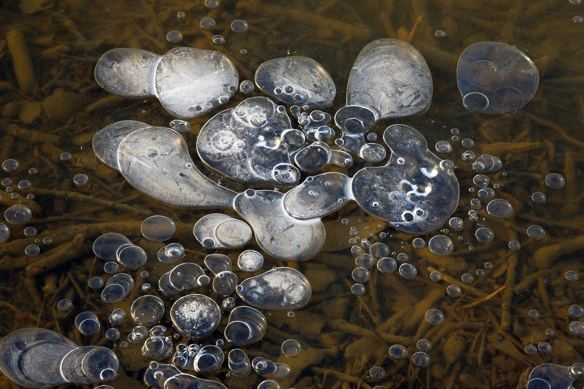 Methane bubbles. /CFP