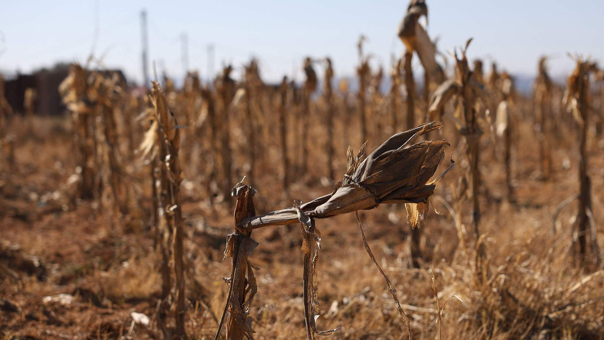 According to the government of Lesotho, around 700,000 people are fighting hunger, which in July was declared a national disaster over threatened food security. /CFP