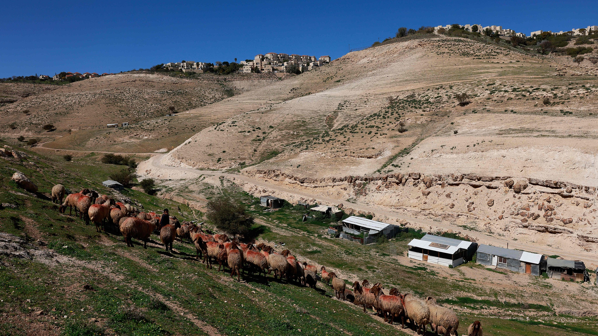 The Israeli settlement of Maale Adumim (top), in the occupied West Bank, on February 29, 2024. /CFP