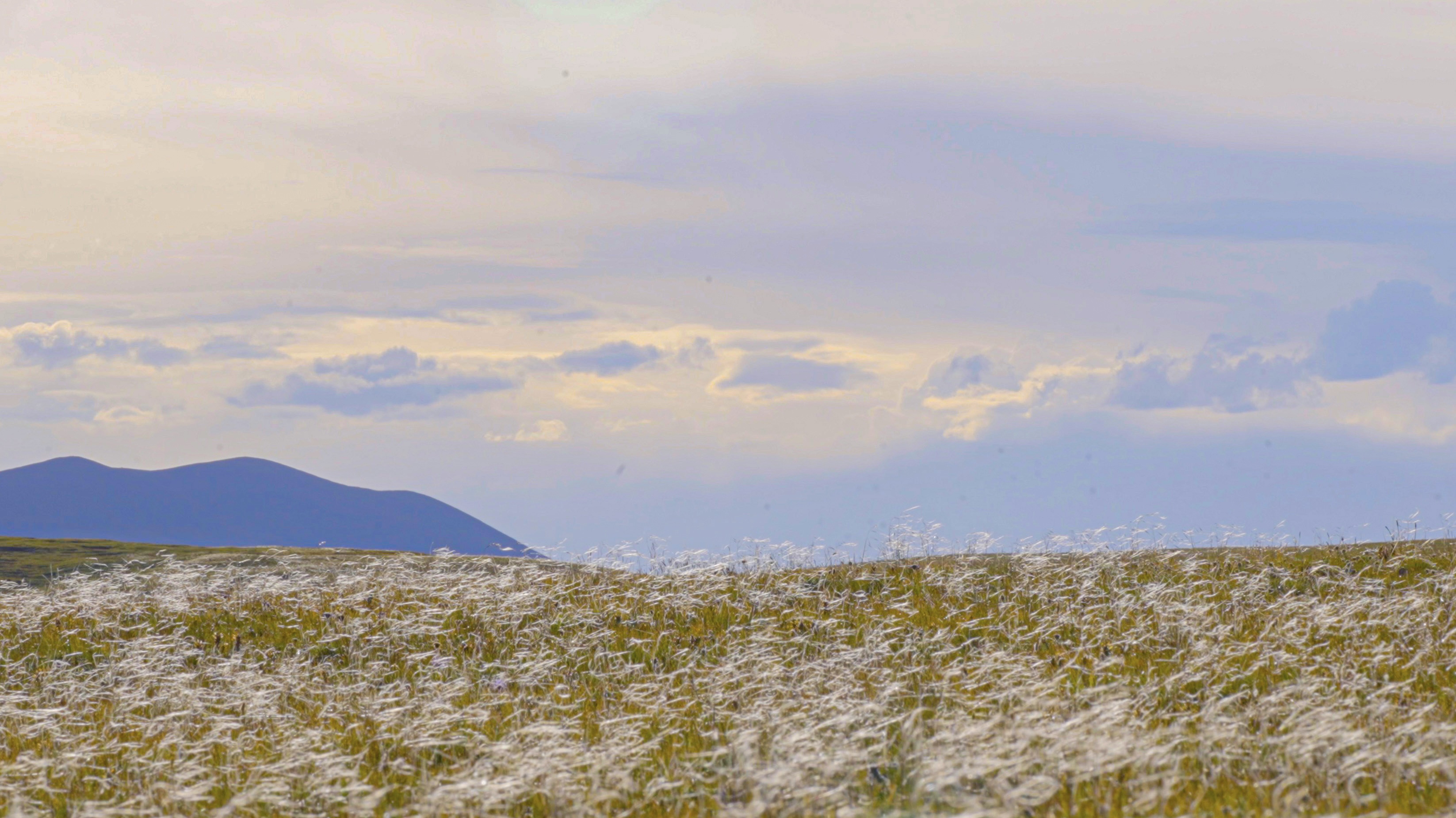 This photo taken on August 9, 2024 in Qinghai Province shows the pristine natural wilderness of Hoh Xil. /CGTN