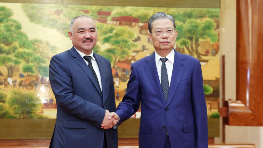 China's top legislator Zhao Leji held talks with Kyrgyz Parliament Speaker Nurlanbek Shakiev, Beijing, China, September 13, 2024. /CFP