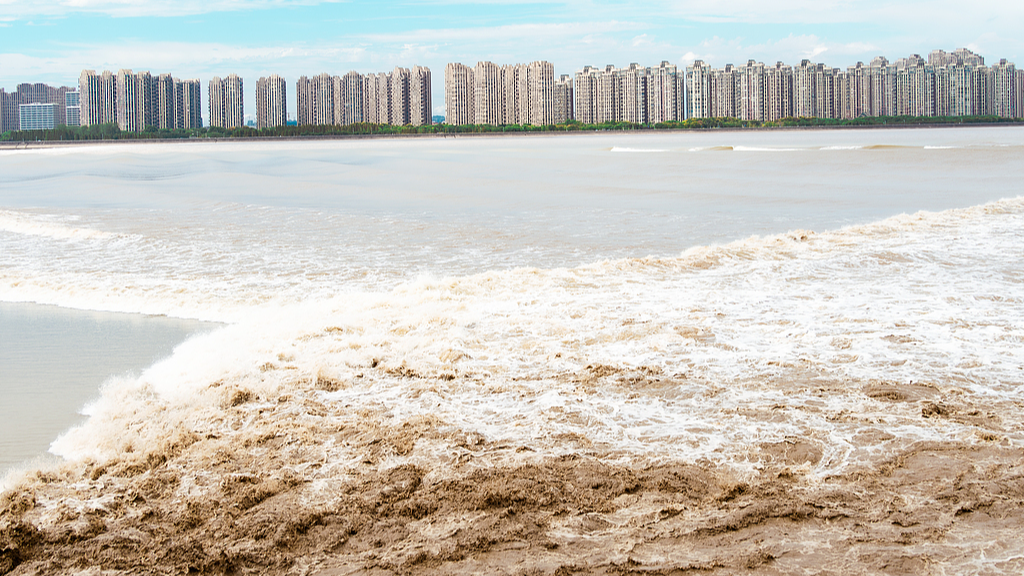 Live: 2024 Qiantang River tidal bore view in E China – A spectacular experience of the tides