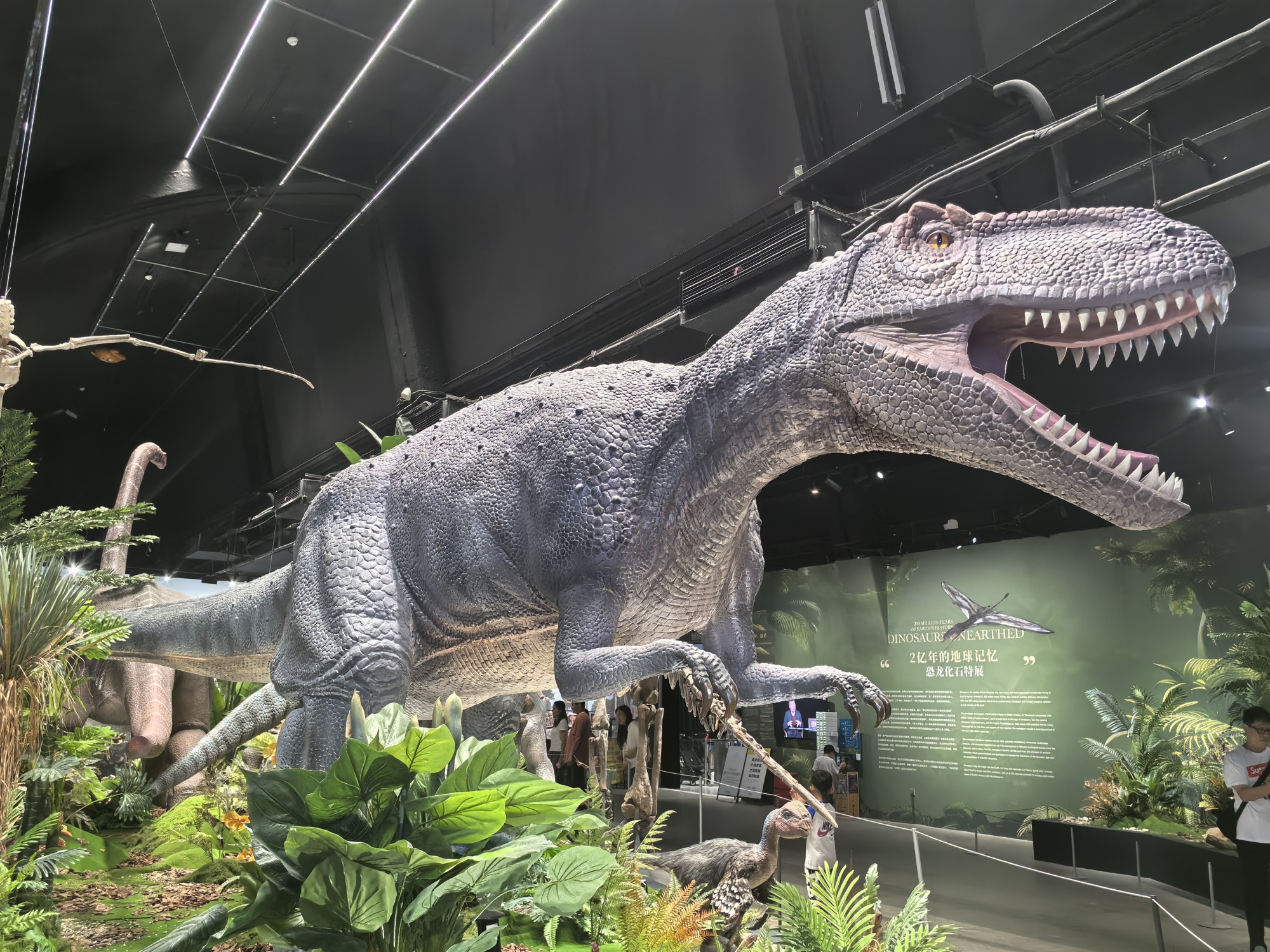 Life-sized dinosaur statues are on display at the 