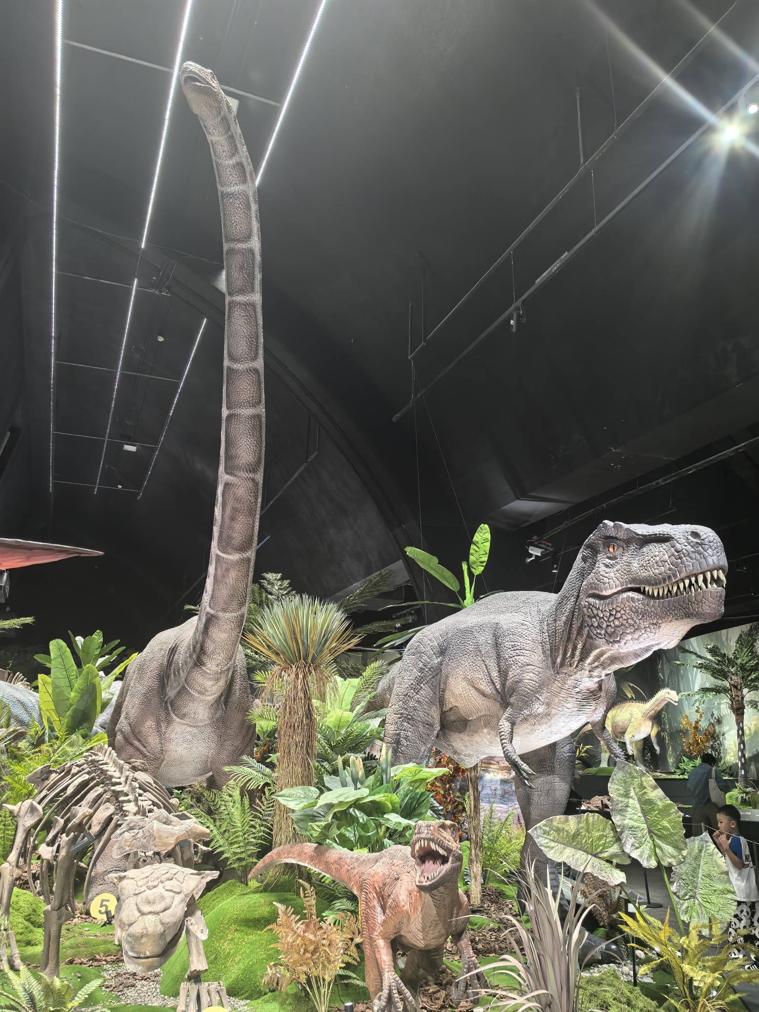 Life-sized dinosaur statues are on display at the 