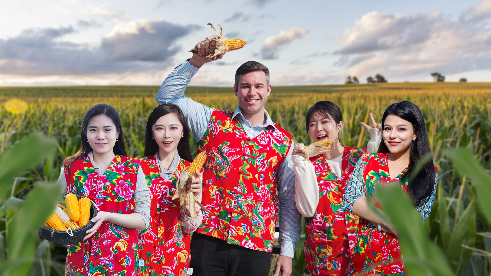 Live: Devouring a corn feast in golden fields in northeast China