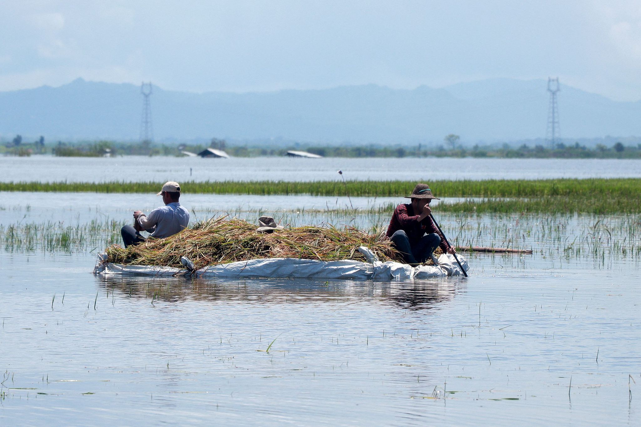 Farmers transport rice picked from a flooded paddy field near Phayarphyu village in Loikaw township in Myanmar's Karenni state, September 16, 2024, following heavy rains in the aftermath of Typhoon Yagi. /CFP