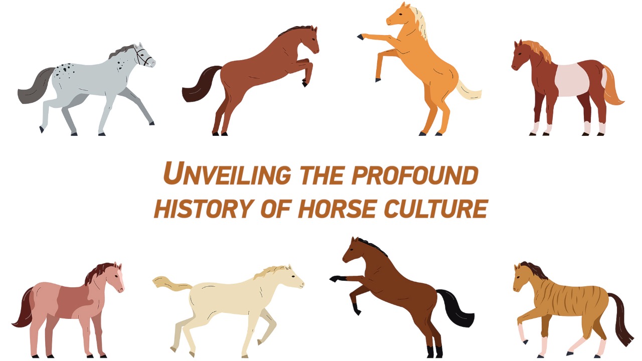 Unveiling the profound history of horse culture in China