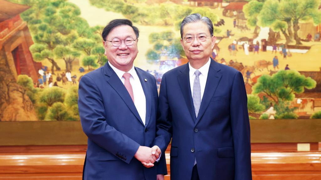 Zhao Leji (R), chairman of the NPC Standing Committee, meets with a delegation led by Kim Tae-nyeon, president of the ROK-China Parliamentarians' Union, in Beijing, China, September 19, 2024. /Xinhua