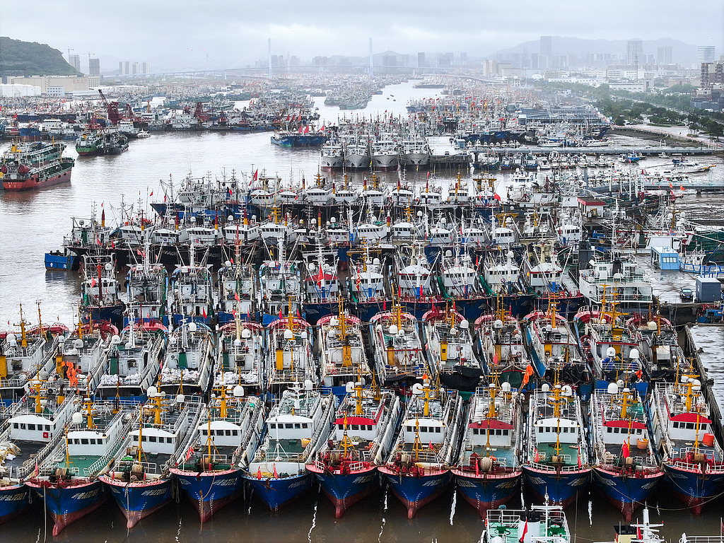 The Shili Fishing Port was full of fishing vessels taking shelter from Typhoon Pulasan in Shenjiamen, Zhoushan City, Zhejiang Province. September 19, 2024. /CFP