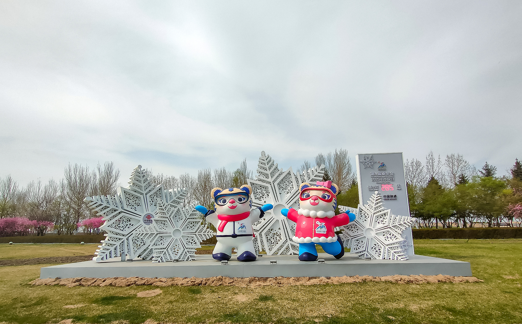 The ninth Asian Winter Games will take place in Harbin, northeast China's Heilongjiang Province, from February 7 to 14, 2025. /CFP