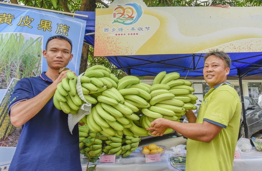 Dua pria mengangkat seikat pisang di Nanning, Guangxi pada 20 September 2024. /IC