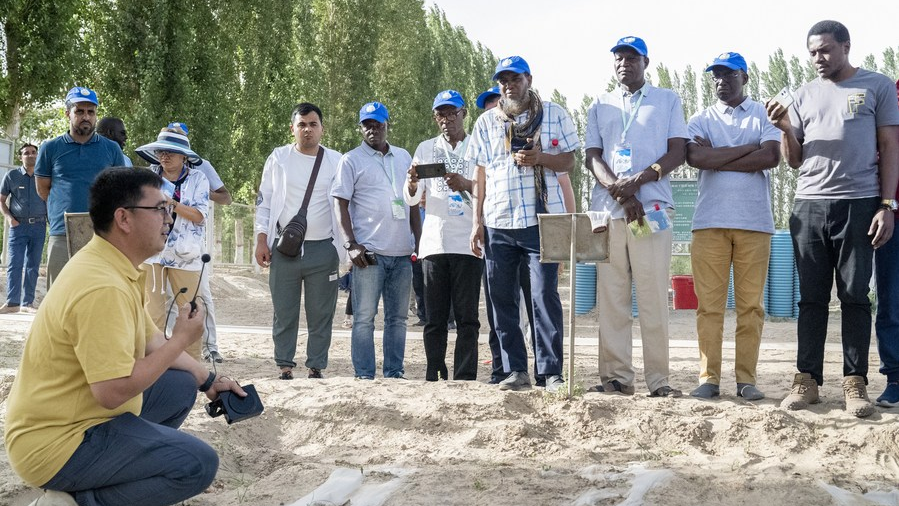 A Chinese expert introduces desert plants to people from different countries at a desert research station in northwest China's Xinjiang Uygur Autonomous Region, June 13, 2023. /Xinhua