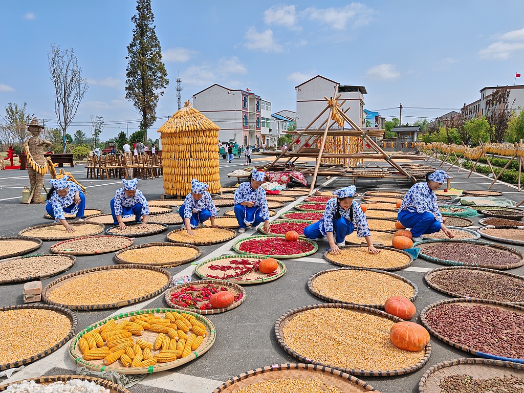 Farmers air-dry corn and chilies in Yunmeng County, Hubei Province on September 21, 2024, ahead of the Farmers' Harvest Festival. /CFP