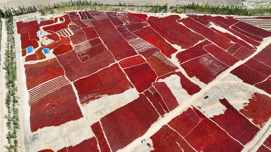 Every open space at a village in Xinjiang's Hejing County is used to dry hot chili peppers on September 21, 2024, ahead of the Farmers' Harvest Festival. /CFP