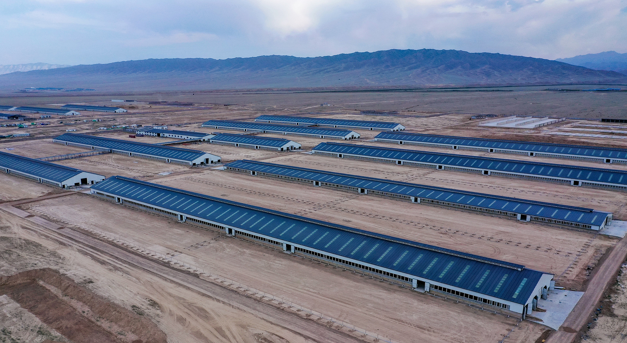 The construction site of Jinhua Shengye high-yield dairy farming area in Hutubi County, Changji Hui Autonomous Prefecture, Xinjiang Uygur Autonomous Region. /CFP