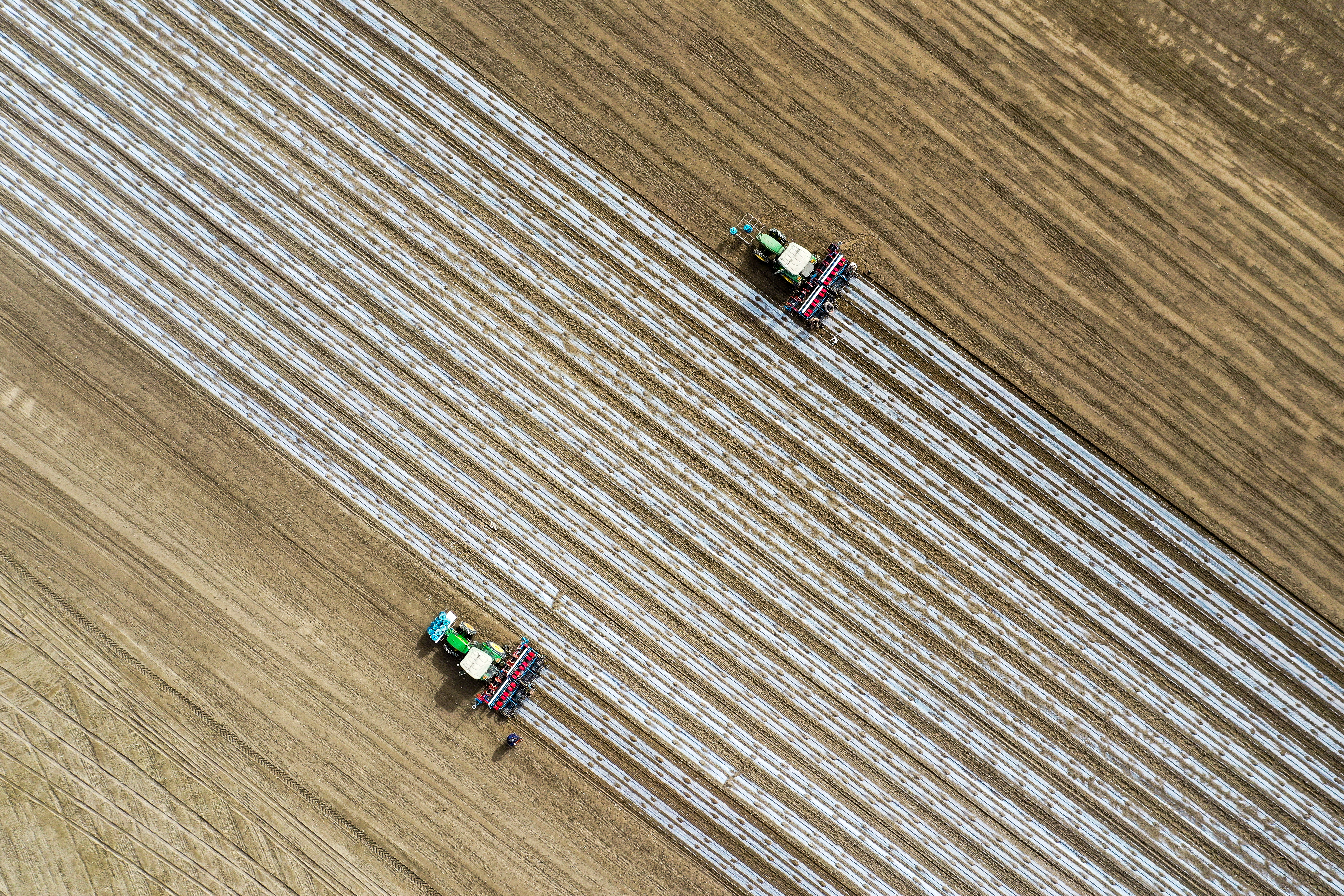 Spring ploughing and spring sowing, Xinjiang Uygur Autonomous Region. /Chen Yang 