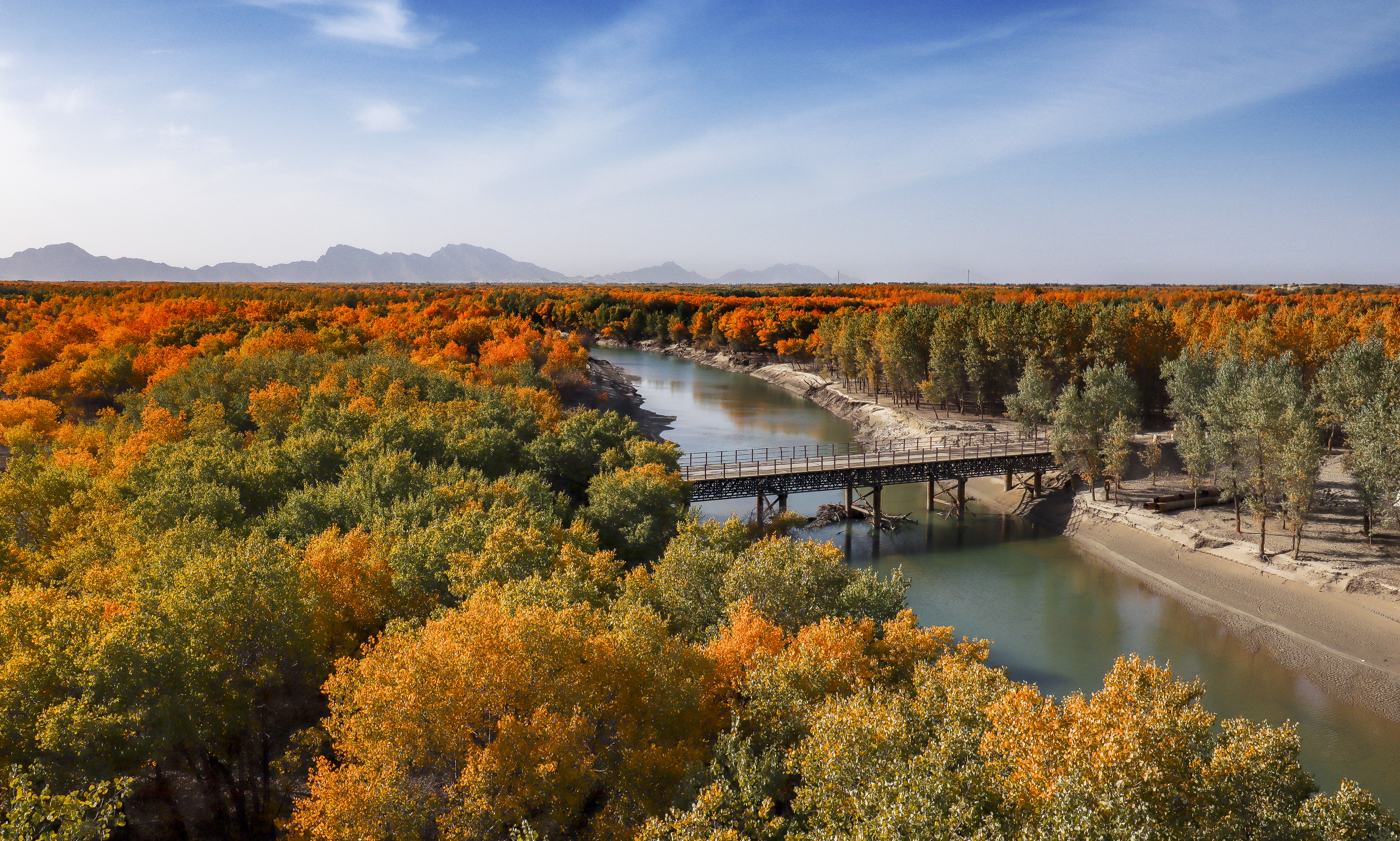 The banks of the Yerqiang River in golden autumn, Xinjiang Uygur Autonomous Region. /Yuan Junhui