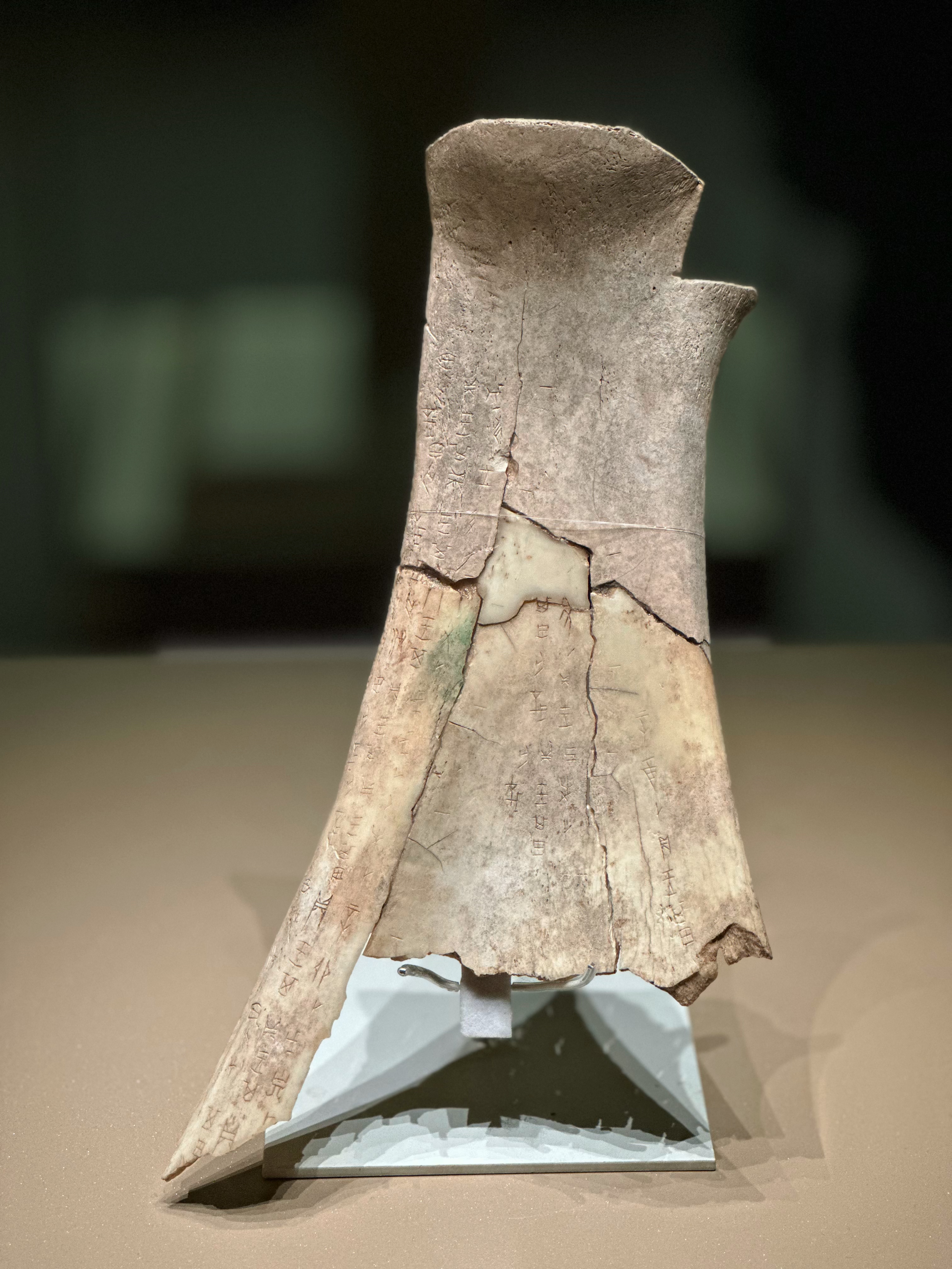 A photo taken on September 23, 2023 shows a rare oracle bone on display at the newly opened Yinxu Museum in Anyang, Henan Province, China. /CGTN