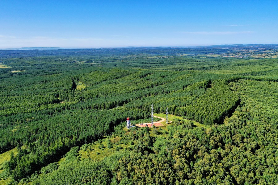 Scenery of Saihanba forest farm in north China's Hebei Province. /Xinhua